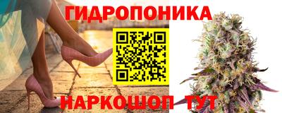 ALPHA PVP Будённовск